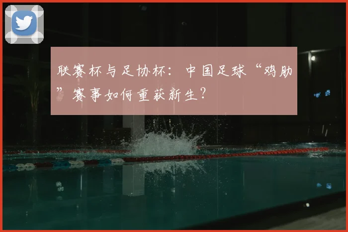 联赛杯与足协杯:中国足球“鸡肋”赛事如何重获新生?